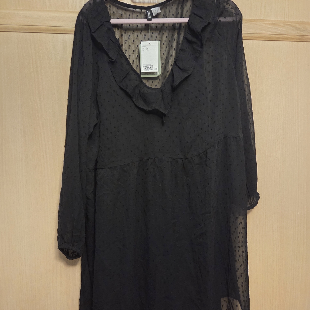 H&M Black Sheer Long Sleeve Dress